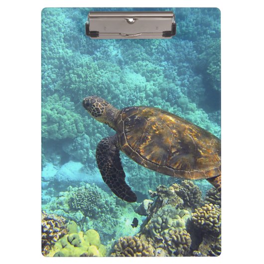 Schildpad in het zee klembord (Voorkant)