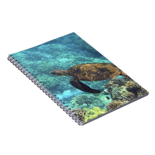 Schildpad in het zee notitieboek (Rechterzijde)