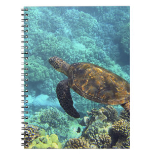 Schildpad in het zee notitieboek