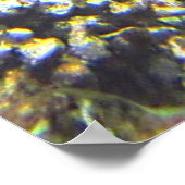 Schildpad in het zee poster (Hoek)