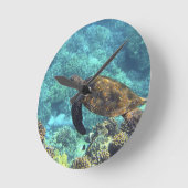 Schildpad in het zee ronde klok (Hoek)