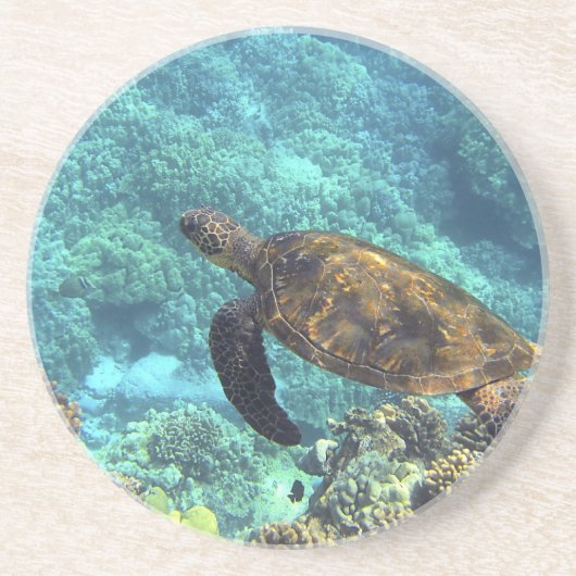Schildpad in het zee zandsteen onderzetter (Voorkant)