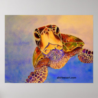 Schildpad in je gezicht poster
