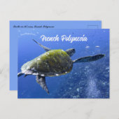Schildpad in Mo'orea Frans-Polynesië Briefkaart (Voorkant / Achterkant)