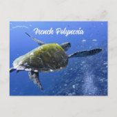 Schildpad in Mo'orea Frans-Polynesië Briefkaart (Voorkant)