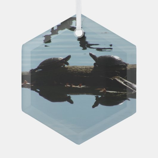 Schildpad Interactie Ornament (Voorkant)