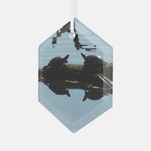 Schildpad Interactie Ornament (Voorkant links)