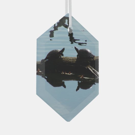 Schildpad Interactie Ornament (Voorkant Rechts)