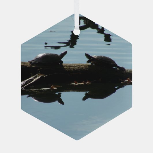 Schildpad Interactie Ornament (Achterkant)