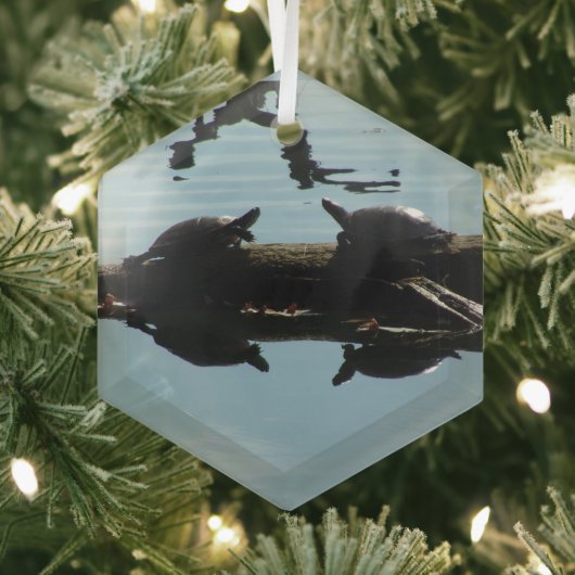 Schildpad Interactie Ornament (Insitu)
