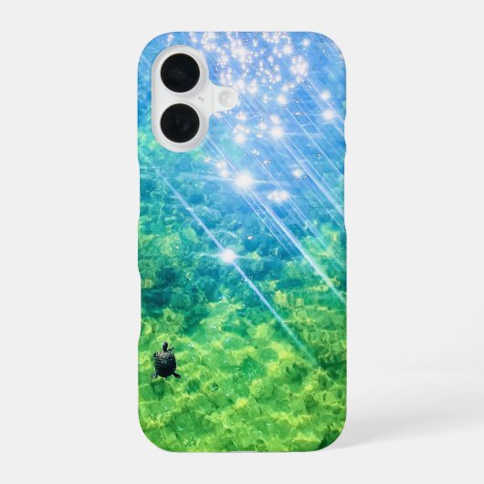 Schildpad IPHONE Case 16 Hoesje (Achterkant)