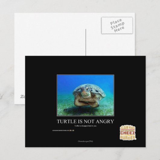 Schildpad is niet boos briefkaart (Voorkant / Achterkant)