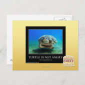 Schildpad is niet boos briefkaart (Voorkant / Achterkant)