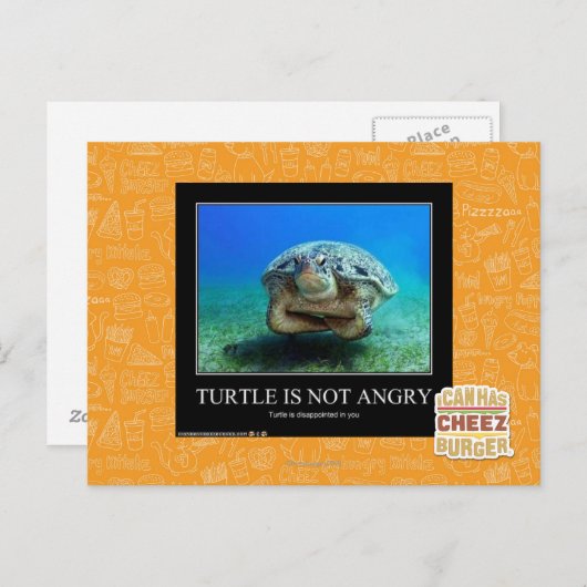 Schildpad is niet boos briefkaart (Voorkant / Achterkant)