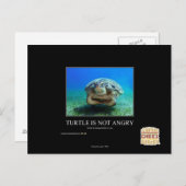 Schildpad is niet boos briefkaart (Voorkant / Achterkant)