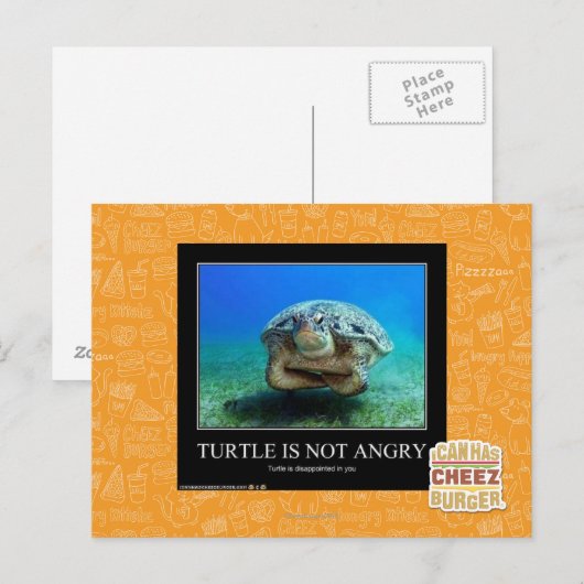 Schildpad is niet boos briefkaart (Voorkant / Achterkant)