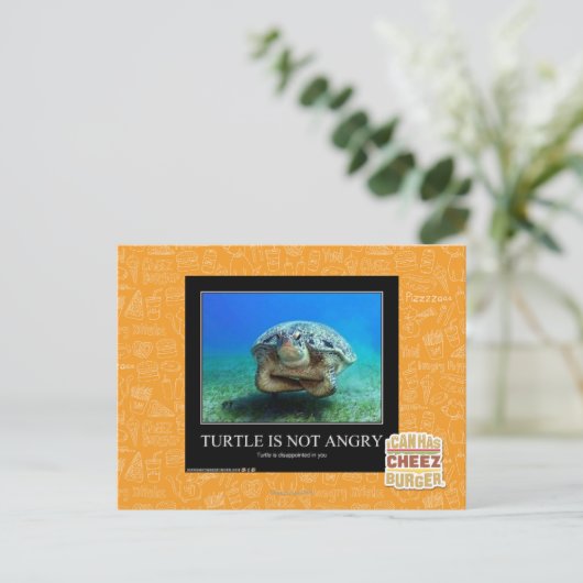 Schildpad is niet boos briefkaart (Staand voorkant)