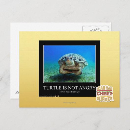 Schildpad is niet boos briefkaart (Voorkant / Achterkant)