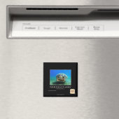 Schildpad is niet boos magneet (Insitu (Vaatwasser))