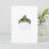 schildpad kaart (Staand voorkant)