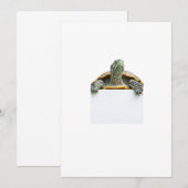 schildpad kaart (Voorkant / Achterkant)