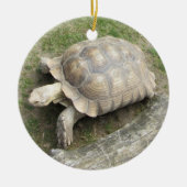 Schildpad Keramisch Ornament (Voorkant)