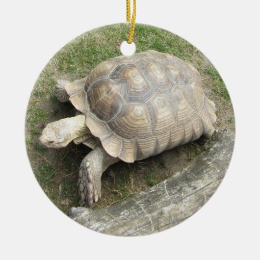 Schildpad Keramisch Ornament (Voorkant)