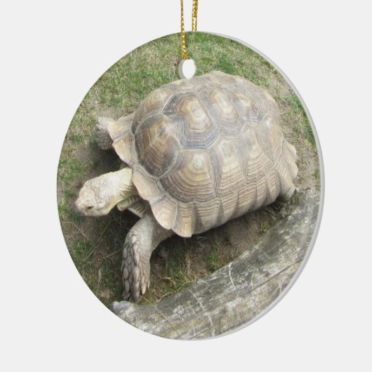 Schildpad Keramisch Ornament (Links)