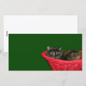 Schildpad Kerstmis Feestdagenkaart (Voorkant / Achterkant)