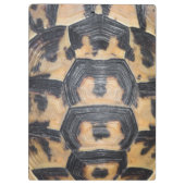 schildpad klembord (Achterkant)