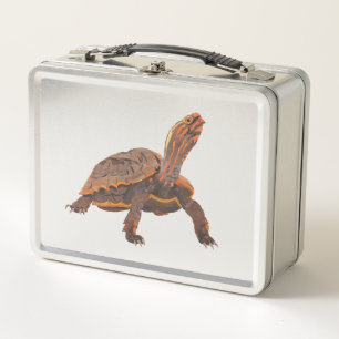 Schildpad Kopie Kopie Kopie Kopie Kopie Kopie Kopi