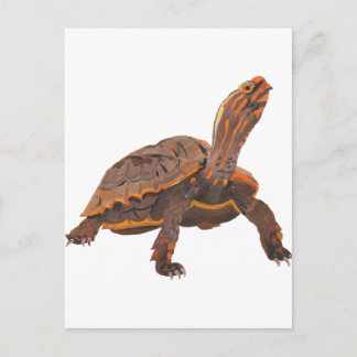Schildpad Kopie Kopie Kopie Kopie Kopie Kopie Kopi Briefkaart