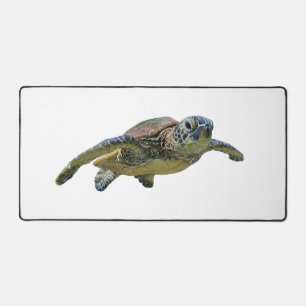 Schildpad Kopie Kopie Kopie Kopie Kopie Kopie Kopi Bureaumat