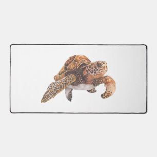 Schildpad Kopie Kopie Kopie Kopie Kopie Kopie Kopi Bureaumat