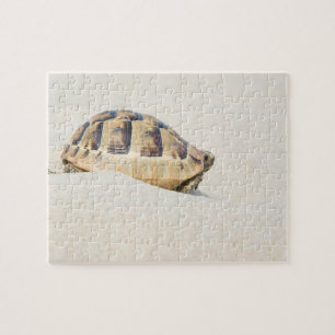 Schildpad Legpuzzel