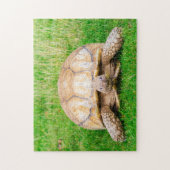 Schildpad Legpuzzel (Verticaal)