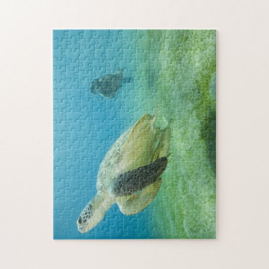 Schildpad Legpuzzel (Verticaal)