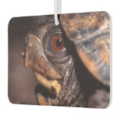 schildpad luchtverfrisser (Links)