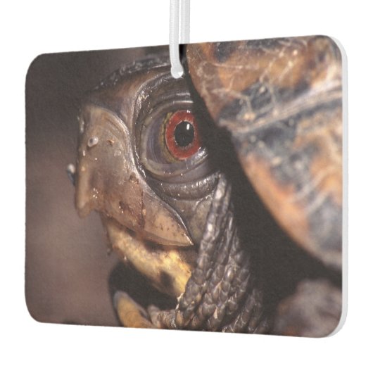 schildpad luchtverfrisser (Links)