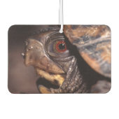 schildpad luchtverfrisser (Voorkant)