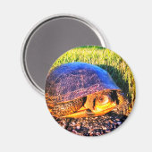 SCHILDPAD MAGNEET (Voorkant / Achterkant)