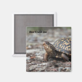 Schildpad Magneet (Voorkant / Achterkant)