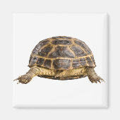 Schildpad Magneet (Voorkant)