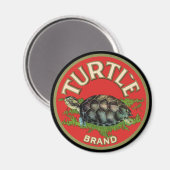 Schildpad Magneet (Voorkant / Achterkant)
