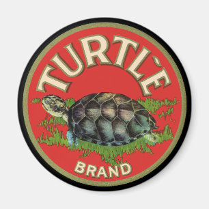 Schildpad Magneet