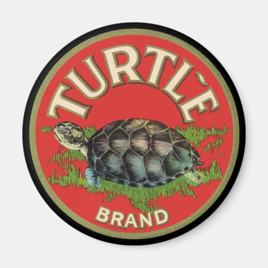 Schildpad Magneet (Voorkant)