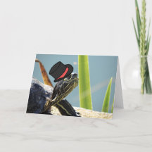 Schildpad met een zwart monocle en een lege klep