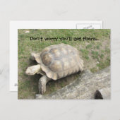 Schildpad met Gezegde Briefkaart (Voorkant / Achterkant)