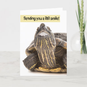 Schildpad met grote tanden glimlachende Humor Feestdagen Kaart