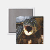 Schildpad met Mond Open Magnet (Voorkant / Achterkant)